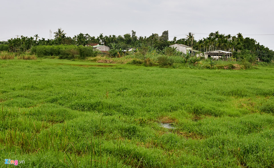 Tồn kho hàng nghìn lô đất tại các khu đô thị, dân cư